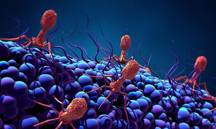 Vi khuẩn gây ra nhiều bệnh nguy hiểm